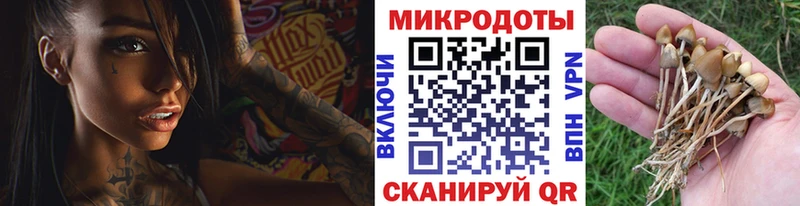 Галлюциногенные грибы MAGIC MUSHROOMS  MEGA ссылки  Мосальск 